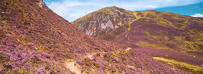 Region Cairngorms