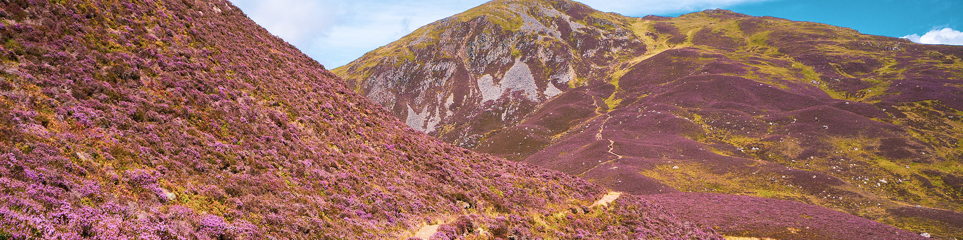 Cairngorms National Park, Ballater