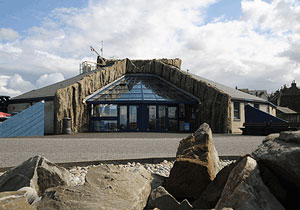 Activity Macduff Marine Aquarium