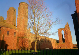 Activity Arbroath Abbey