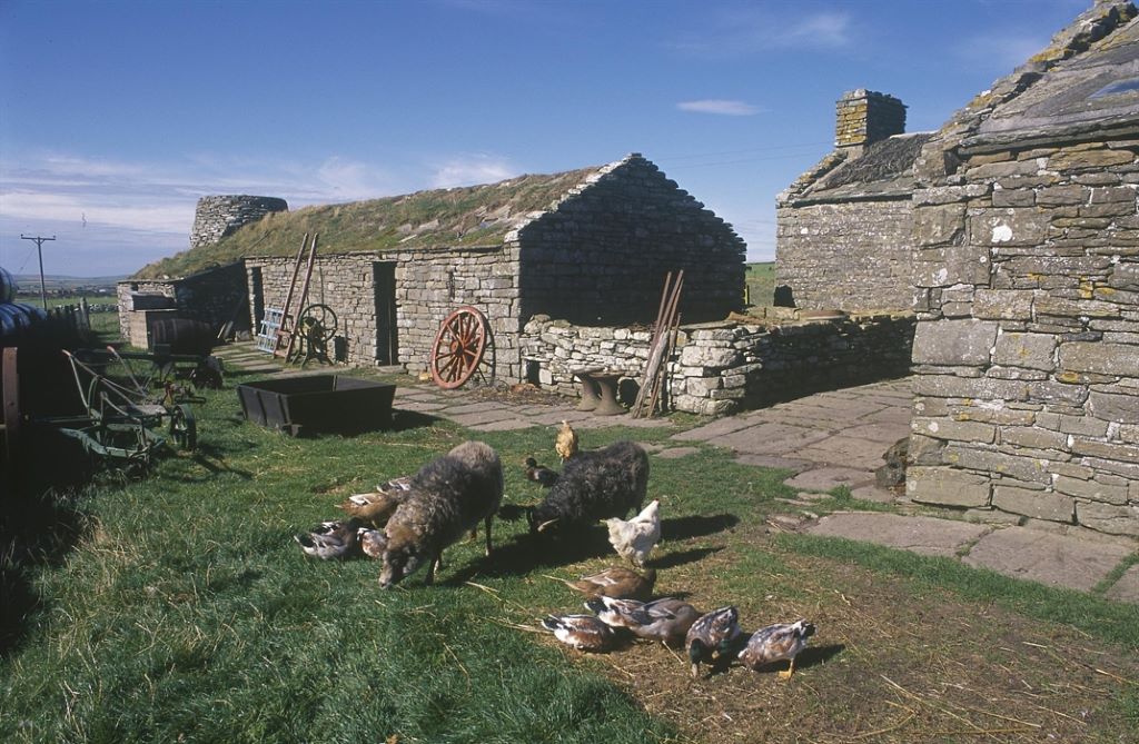 Activity Corrigall Farm Museum