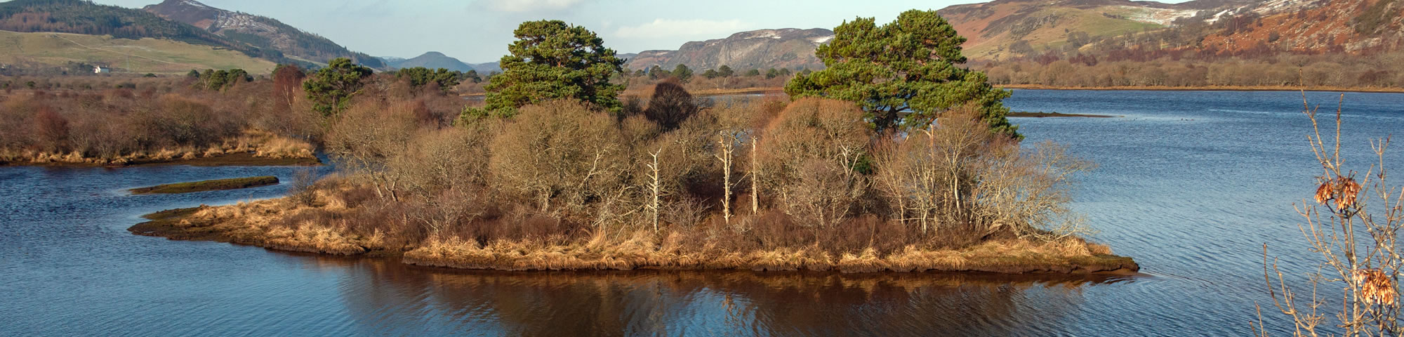 Loch Fleet Nature Reserve