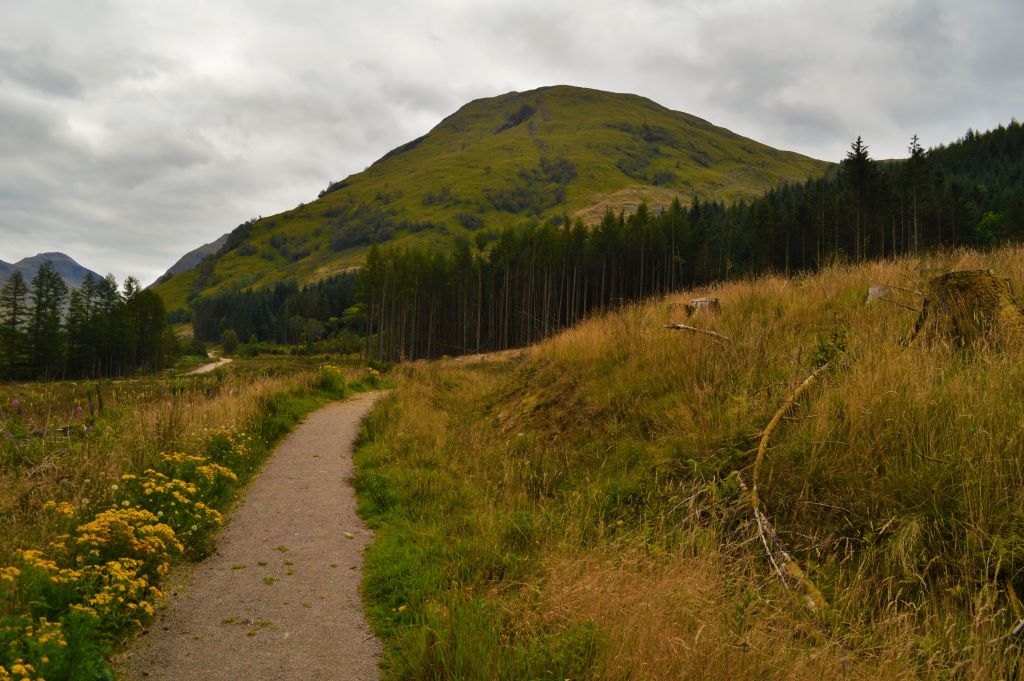 Activity Glencoe Nature Reserve