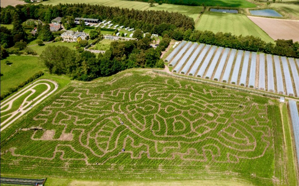 Activity Cairnie Fruit Farm & Mega Maze