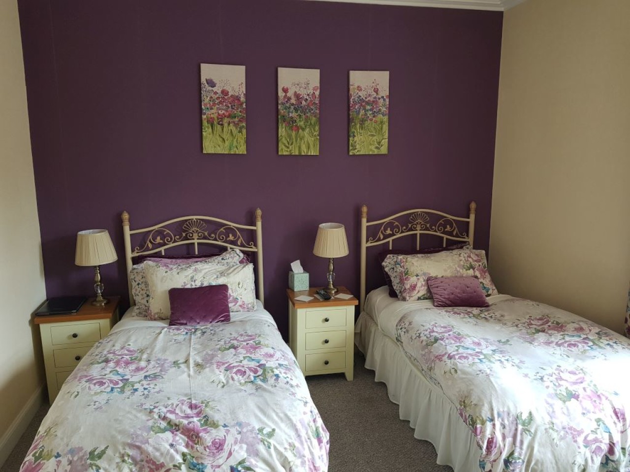 Plum room, a quiet twin room at the rear of the property has an en-suite shower room, toiletries, hairdryer, tv and hospitality tray including homemade shortbread