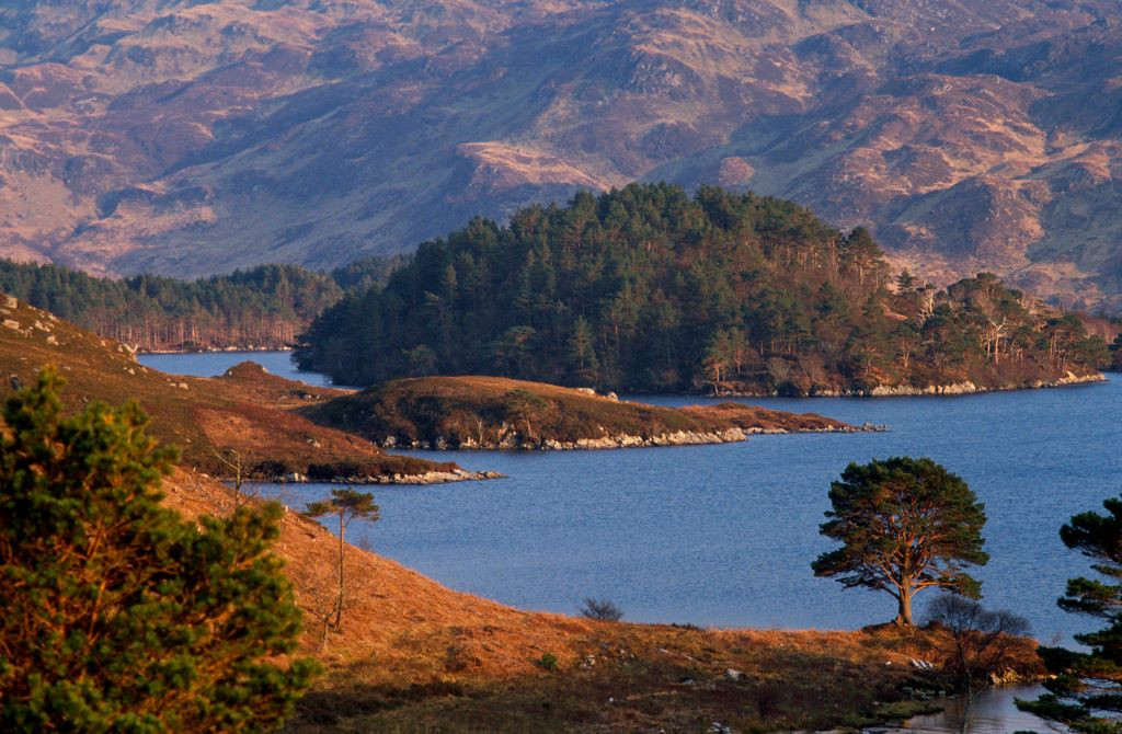 Activity Loch Morar