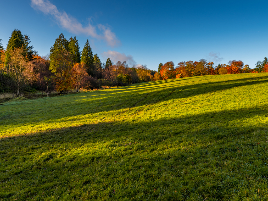 Activity Blairadam Wood