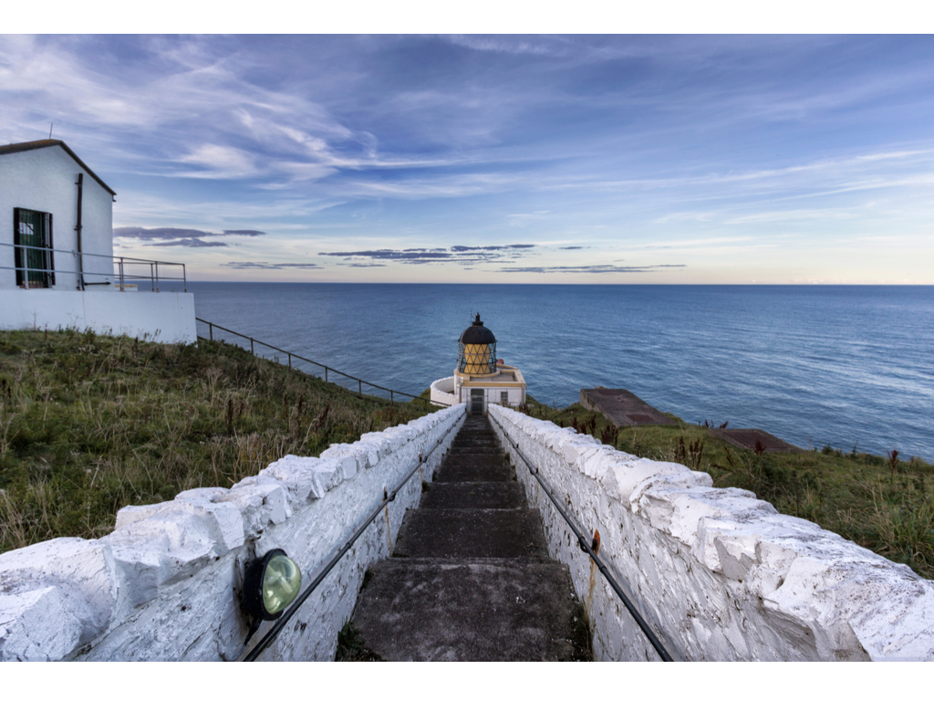 Activity St Abb's Head - National Nature Reserve