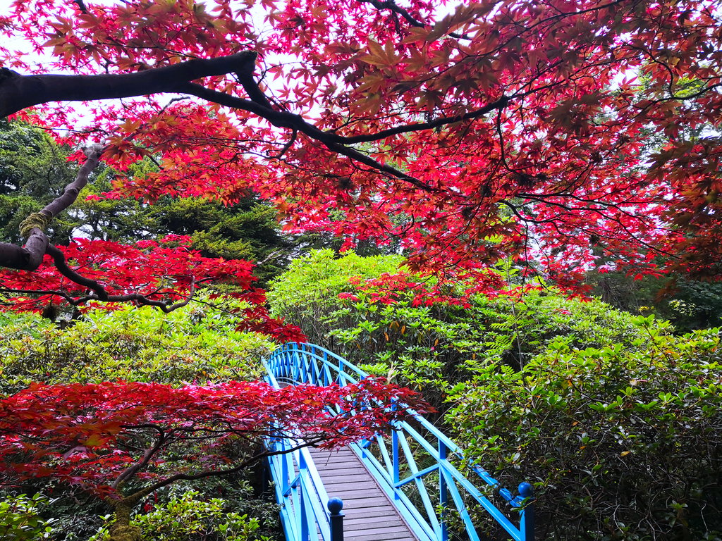 Activity Johnston Gardens