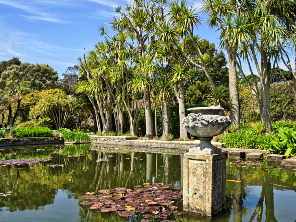 Activity Logan Botanic Garden