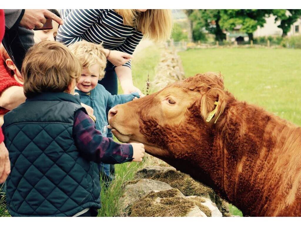 Activity Newton Farm Tours