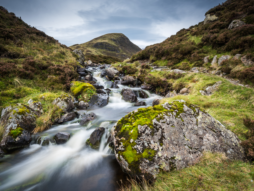 Activity Grey Mare's Tail Nature Reserve