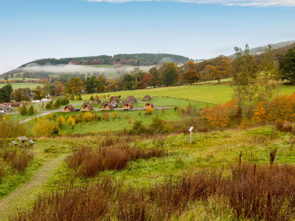 Activity Glentress Forest