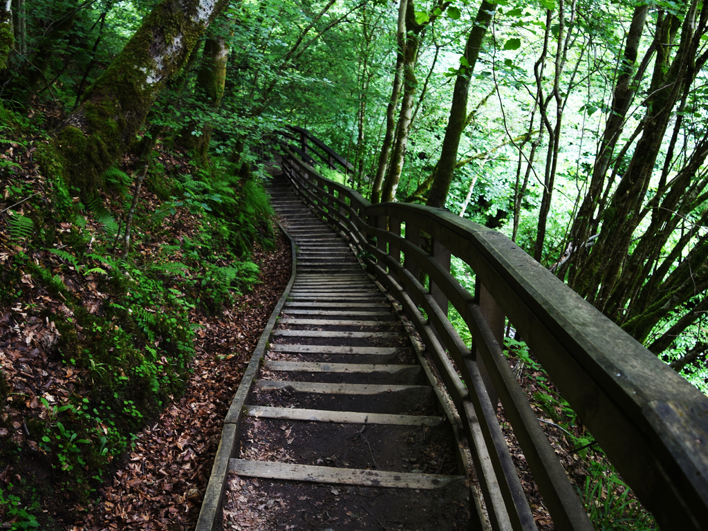 Birks of Aberfeldy Walk, Pitlochry, Perthshire, Scotland