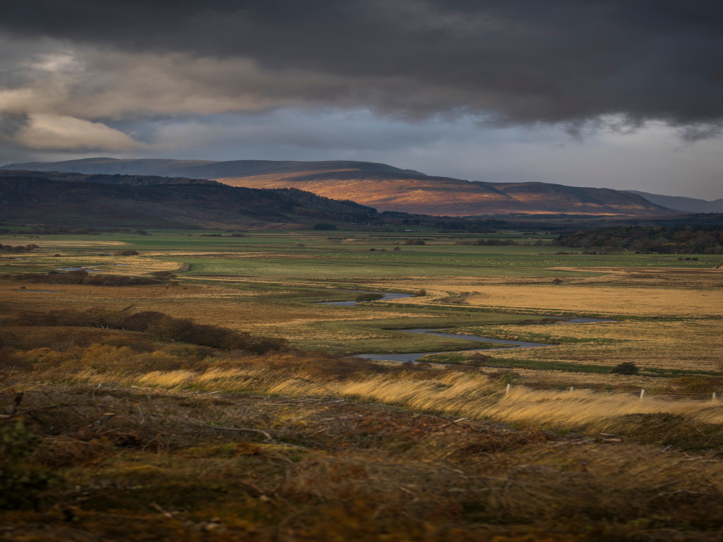 Activity Fly Fishing on the River Spey