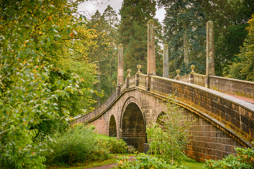 Activity Dumfries house