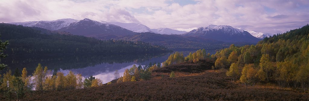 Activity Glen Affric