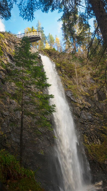 Activity Plodda Falls