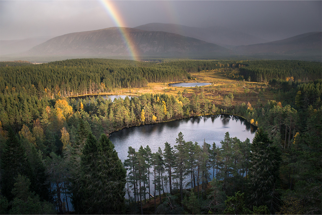 Uath Lochans, Kingussie, Scotland