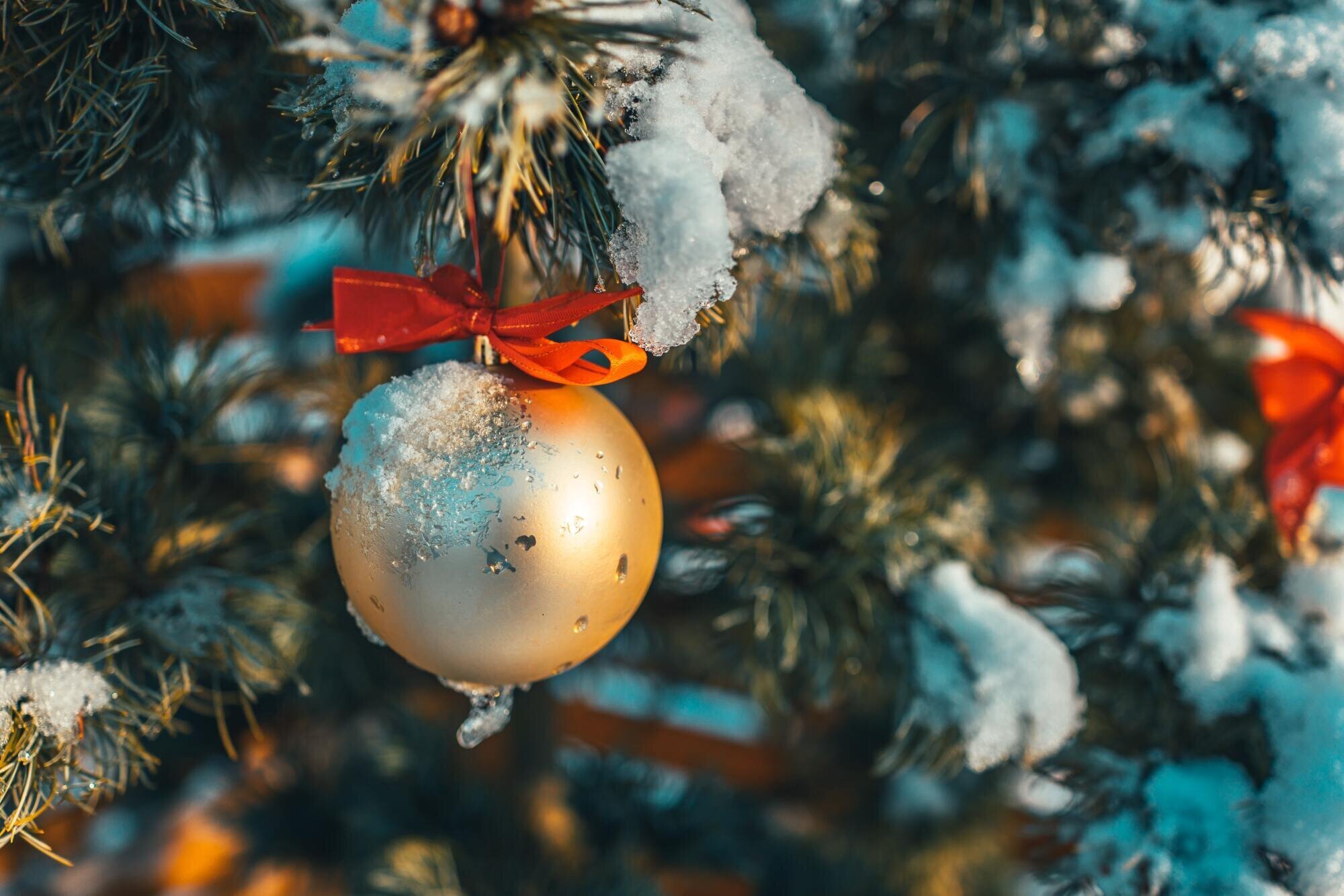 Christmas Ball.