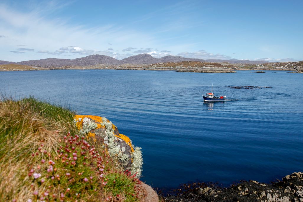 Isle of Harris Sea Tours, Scotland