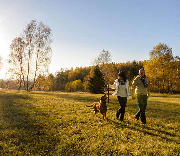 placeholder private house stay property image